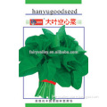 High Quality Water Spinach Swamp Cabbage Seeds Leafy Vegetable Seeds for planting-Big Leaf Water Spinach
